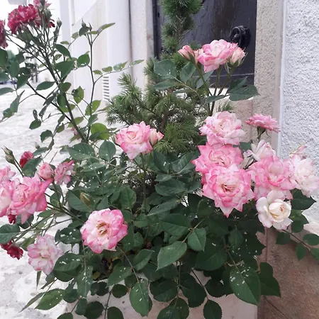 Le Chianche Nyaraló Ceglie Messapica
